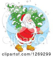 Clipart Of A Cartoon Happy Caucasian Santa Claus Carrying A Fresh Cut Christmas Tree In The Snow Over A Blue Circle Royalty Free Vector Illustration