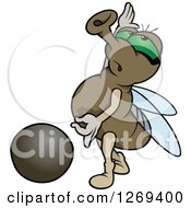 Poster, Art Print Of Cartoon Green Eyed Posing House Fly And Pebble