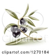 Poster, Art Print Of 3d Black Olives And Leaves