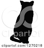 Poster, Art Print Of Black Silhouette Of A Sitting Cat Facing Front