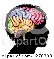 Poster, Art Print Of Silhouetted Boys Head With A Colorful Brain