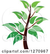 Clipart Of A Green And Brown Tree 6 Royalty Free Vector Illustration