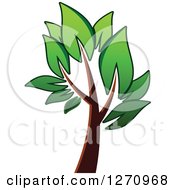 Clipart Of A Green And Brown Tree 5 Royalty Free Vector Illustration