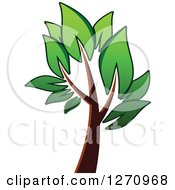 Poster, Art Print Of Green And Brown Tree 5