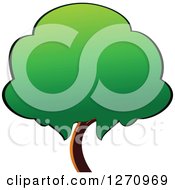 Clipart Of A Green And Brown Tree 4 Royalty Free Vector Illustration