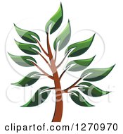 Clipart Of A Green And Brown Tree 3 Royalty Free Vector Illustration