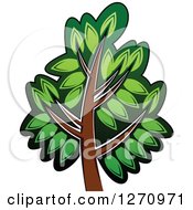Clipart Of A Green And Brown Tree 2 Royalty Free Vector Illustration