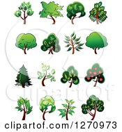Clipart Of Green And Brown Trees Royalty Free Vector Illustration