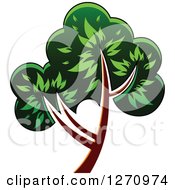 Clipart Of A Green And Brown Tree 7 Royalty Free Vector Illustration