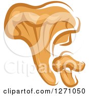 Clipart Of A Brown Chanterelle Mushrooms Royalty Free Vector Illustration
