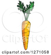 Clipart Of A Thick Orange Carrot Royalty Free Vector Illustration