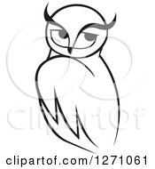 Poster, Art Print Of Black And White Owl With Long Brows