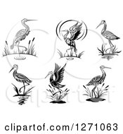 Poster, Art Print Of Black And White Wading Tribal Cranes