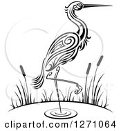 Black And White Wading Tribal Crane With Cattails