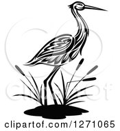Black And White Wading Tribal Crane Bird With Cattails