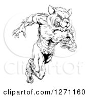 Poster, Art Print Of Black And White Muscular Raccoon Man Mascot Running Upright