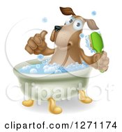 Poster, Art Print Of Happy Brown Dog Soaking In A Bath Giving A Thumb Up And Holding A Scrub Brush