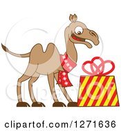 Poster, Art Print Of Christmas Camel Wearing A Scarf And Smiling Down At A Gift