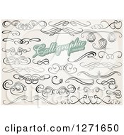 Poster, Art Print Of Calligraphic Swirls On Sepia Shading