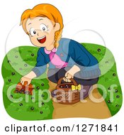 Poster, Art Print Of Happy Red Haired White Girl Picking Ground Berries