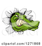 Clipart Of A Tough Alligator Or Crocodile Head Breaking Through A Wall Royalty Free Vector Illustration by AtStockIllustration