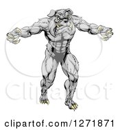 Muscular Gray Bulldog Monster Man Mascot Standing Upright