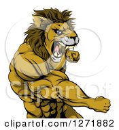 Clipart Of A Tough Angry Muscular Lion Man Punching And Roaring Royalty Free Vector Illustration
