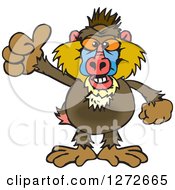 Poster, Art Print Of Happy Baboon Giving A Thumb Up