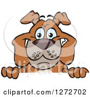 Poster, Art Print Of Happy Brown Bulldog Peeking Over A Sign