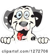 Poster, Art Print Of Happy Dalmatian Dog Peeking Over A Sign