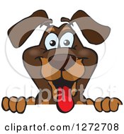 Poster, Art Print Of Happy Dachshund Dog Peeking Over A Sign