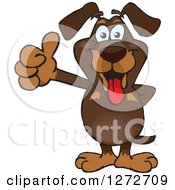 Poster, Art Print Of Happy Dachshund Dog Giving A Thumb Up