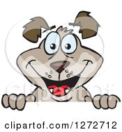 Clipart Of A Happy Brown Dog Peeking Over A Sign Royalty Free Vector Illustration