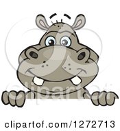 Clipart Of A Happy Hippo Peeking Over A Sign Royalty Free Vector Illustration