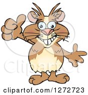 Clipart Of A Happy Guinea Pig Presenting And Giving A Thumb Up Royalty Free Vector Illustration