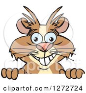 Clipart Of A Happy Guinea Pig Peeking Over A Sign Royalty Free Vector Illustration