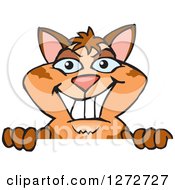 Clipart Of A Happy Tabby Cat Peeking Over A Sign Royalty Free Vector Illustration by Dennis Holmes Designs