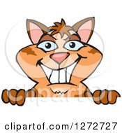 Poster, Art Print Of Happy Tabby Cat Peeking Over A Sign