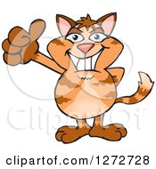 Clipart Of A Happy Tabby Cat Giving A Thumb Up Royalty Free Vector Illustration by Dennis Holmes Designs