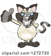 Clipart Of A Happy Siamese Cat Giving A Thumb Up Royalty Free Vector Illustration