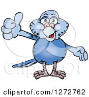 Poster, Art Print Of Happy Blue Budgie Parakeet Bird Giving A Thumb Up