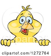 Poster, Art Print Of Happy Yellow Canary Bird Peeking Over A Sign