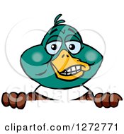 Clipart Of A Happy Mallard Drake Duck Peeking Over A Sign Royalty Free Vector Illustration