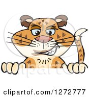 Clipart Of A Happy Leopard Big Cat Peeking Over A Sign Royalty Free Vector Illustration