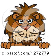 Clipart Of A Happy Male Lion Peeking Over A Sign Royalty Free Vector Illustration