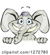 Poster, Art Print Of Happy Gray Elephant Peeking Over A Sign