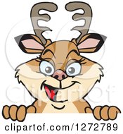 Poster, Art Print Of Happy Doe Deer Peeking Over A Sign