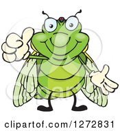 Happy Cicada Giving A Thumb Up