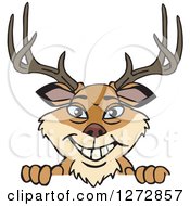 Poster, Art Print Of Happy Buck Deer Peeking Over A Sign