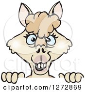 Clipart Of A Blue Eyed Beige Alpaca Over A Sign Royalty Free Vector Illustration